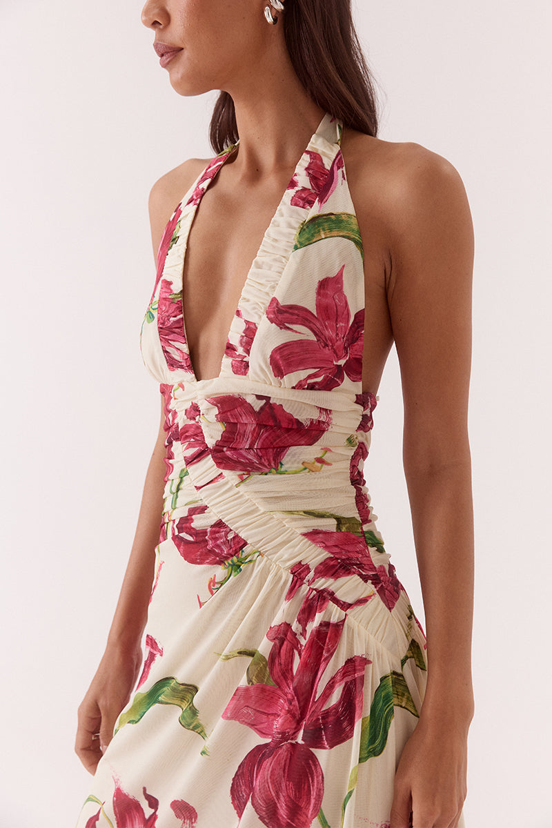 Women’s halter neck stretch mesh maxi dress with empire waist, gathered body detail, back neck tie and exclusive print