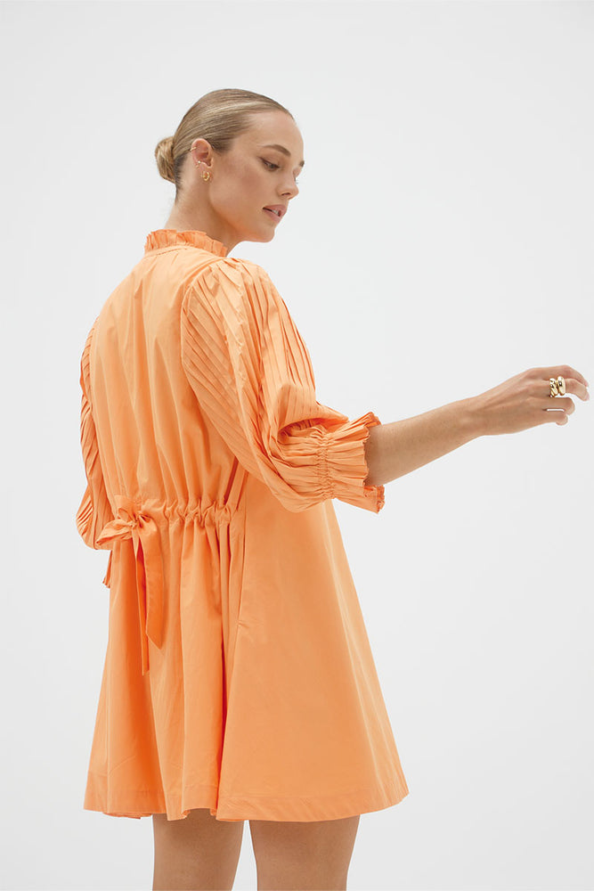 
                  
                    FOCUS PLEAT SMOCK DRESS - PAPAYA
                  
                