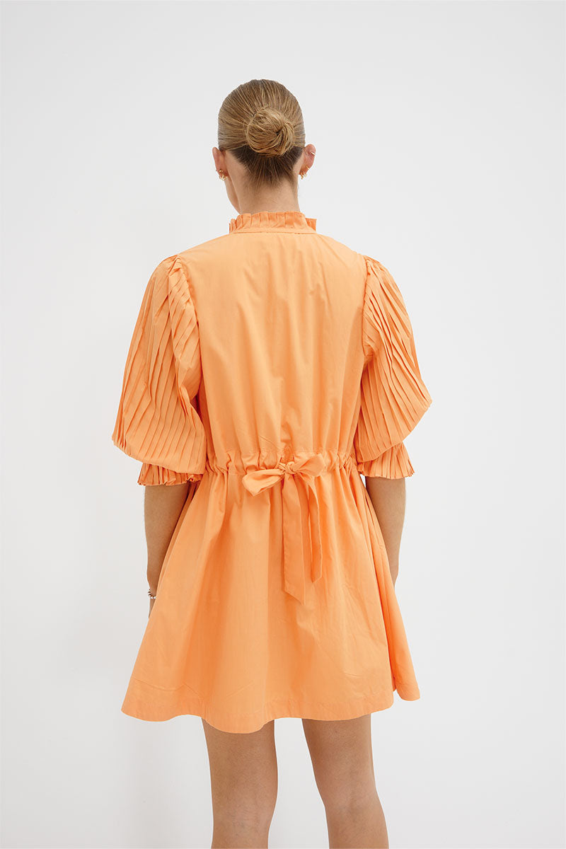 
                  
                    FOCUS PLEAT SMOCK DRESS - PAPAYA
                  
                