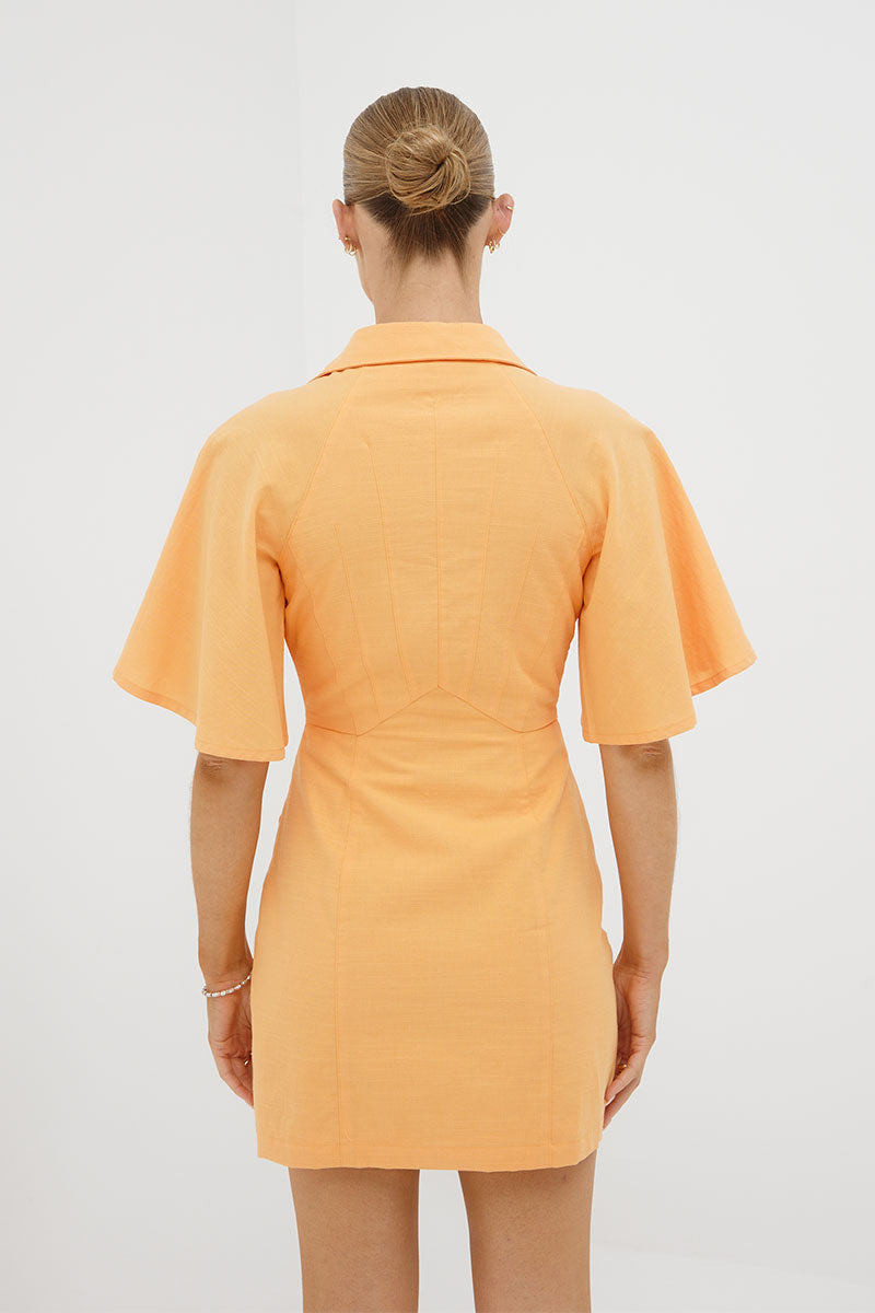 
                  
                    OUTLINE SHIRT DRESS - PAPAYA
                  
                